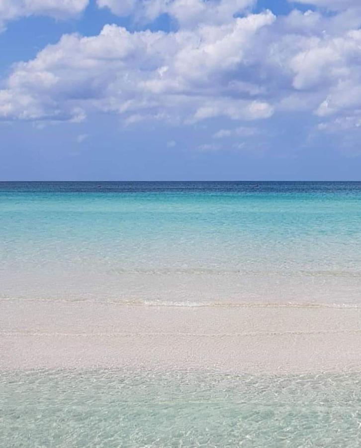 טורי Manidibianco Apulian Relaxing Stay מראה חיצוני תמונה